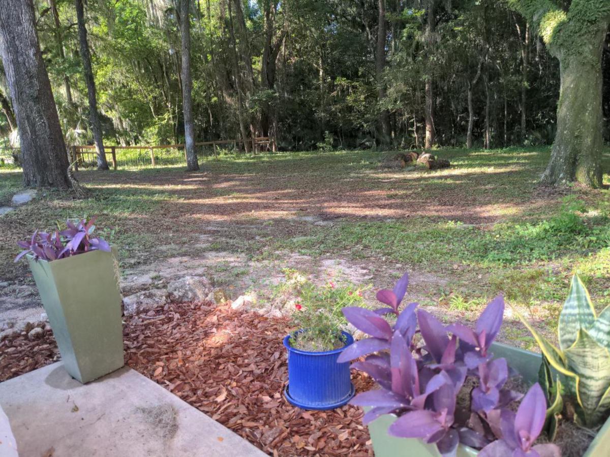 Micanopy Countyline Cottages Eksteriør bilde